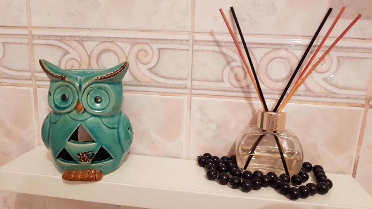Apartment Krsta Újvidék Kültér fotó